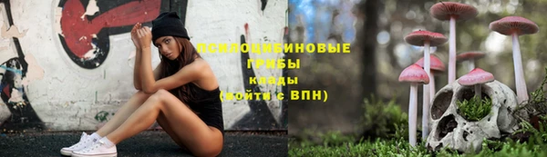 apvp Горняк