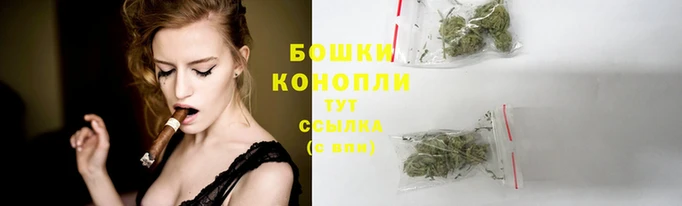 прущие крисы Горно-Алтайск