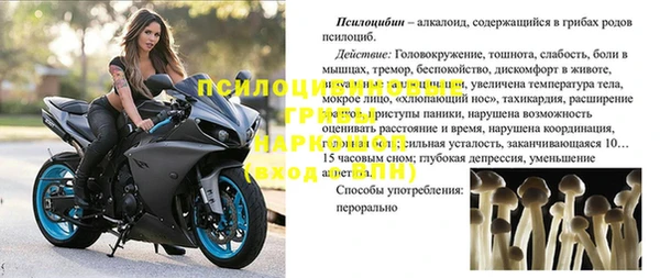 apvp Горняк