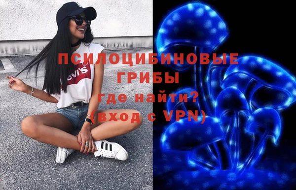 apvp Горняк