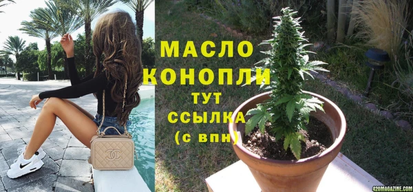 apvp Горняк