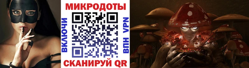 Галлюциногенные грибы Cubensis Ильский